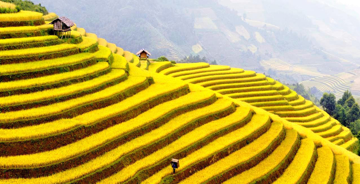 Discover The Best Of Sapa